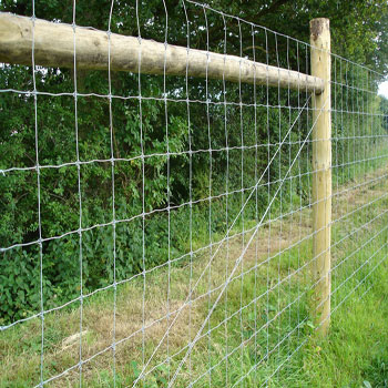 Fencing at Tuam Mart Store